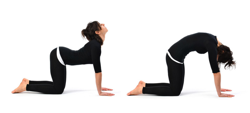 Gerakan Yoga Dasar bagi Pemula untuk Menurunkan Berat Badan